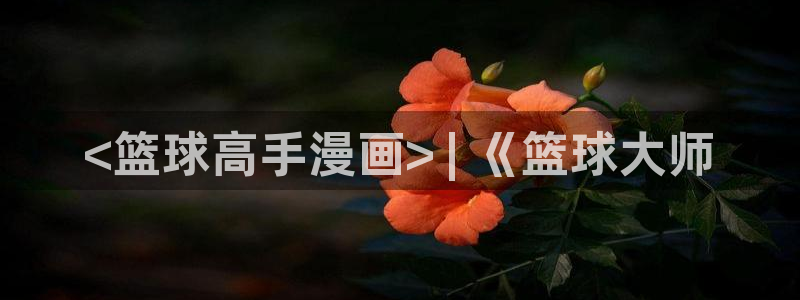 51漫画言情漫画推荐：<篮球高手漫画> | 《篮球大师