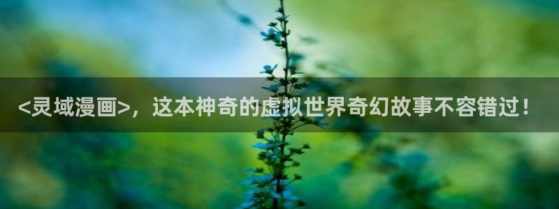 51漫画免费网站地址：<灵域漫画>，这本神奇的虚拟世界奇幻故事不容错过！