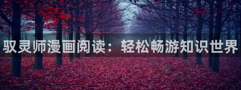 51漫画无遮挡漫画：驭灵师漫画阅读：轻松畅游知识世界