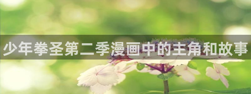 51漫画在线免费观看h：少年拳圣第二季漫画中的主角和故事
