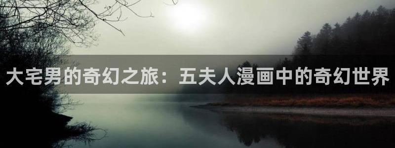 好看的韩国漫画_51漫画在线免费阅读：大宅男的奇幻之旅：五夫人漫画中的奇幻世界